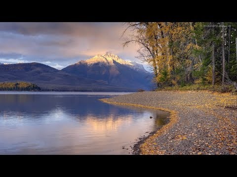 Chris Isaac - Wicked Game (feat. Seren) (Chillion Remix)