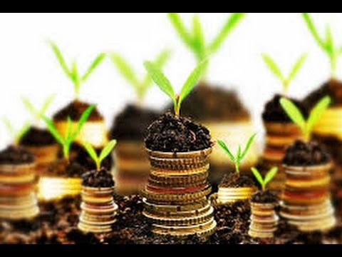 Tv7 con Voi sera del 03/03/2015 - Leggeri sintomi di ripresa. Quali strategie? (4 di 5)