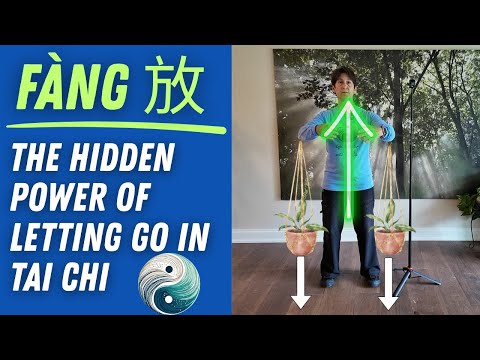 Fang (Release) and the Hidden Power of Letting Go in Tai Chi