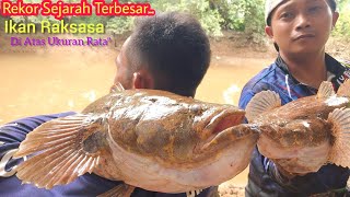 Download lagu REKOR SEJARAH TERBESAR,,!! MANCING MONSTER BETUTU,, Sampai Di Pikul Beratt pak!! mp3
