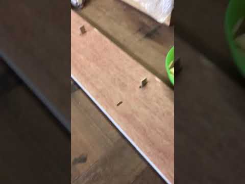 Fitting festool dominoes to plywood