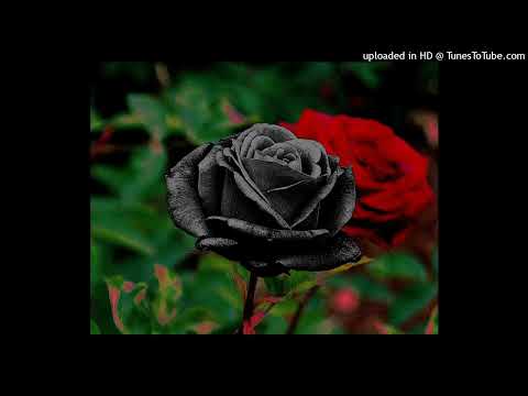 My Chemical Romance x AFI x Paramore Hardcore Emo Hard Rock Metal Type Beat "Dead To Me" (prod. FAF)