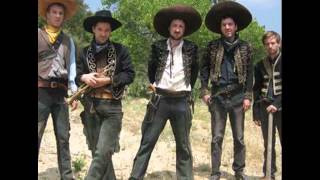 we can&#39;t be beat -The Walkmen (cover acoustic)