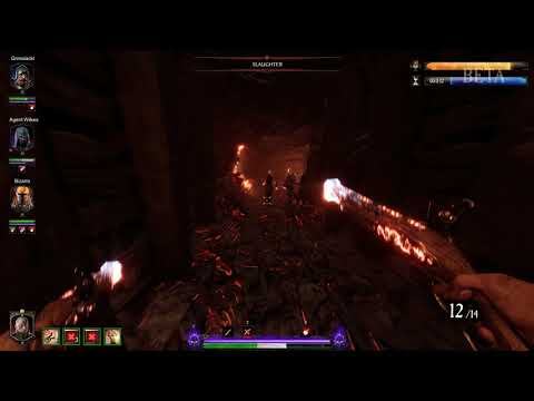 Vermintide 2:  Winds of Magic - Beta (Weave 15) Zealot