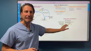 Neuroscience of Sleep, with Ditki, Medical & Biological Sciences