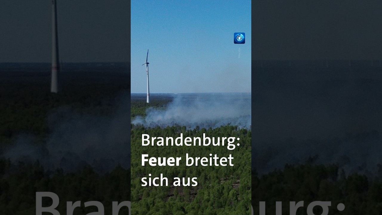 Der Waldbrand bei Jüterbog in Brandenburg hat sich auf mehr als 100 Hektar ausgebreitet.#tagesschau