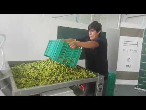 Instalación de Almazara - Oliomio 200 Profy Cabildo El Hierro (Canarias)