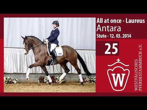 25 Antara  Stute v. All at Once -  Laureus