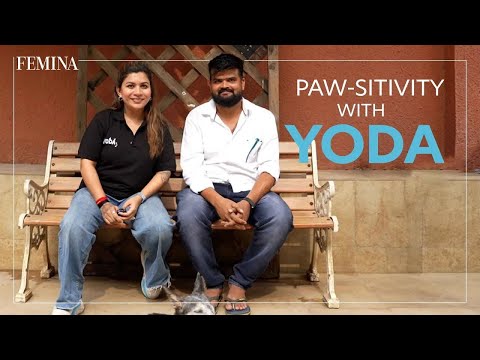 The Heart Behind YODA: Transforming Lives, One Paw at a Time