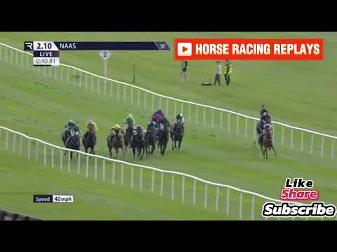 AMAZING ATHENA / 1 Race Naas 06 Jul 2024