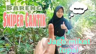 Download lagu Sniper Cantik Hobi berburu Tupai #berburutupai mp3