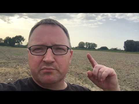 Sondeln am Moor-Rand - Im Moos ist was los!