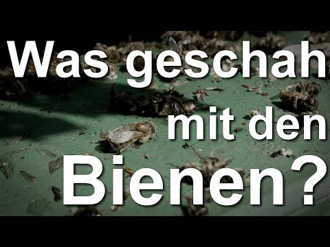 Anzeichen einer frühen degenerative Veränderungen in den Kniegelenken Wunden rechten Seite gibt den Rücken und die Rippen