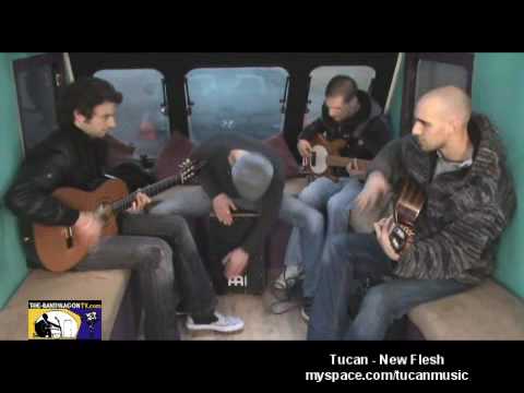 Tucan - New Flesh - Sligo Town - The Band Wagon Tv - 20th Feb 2010