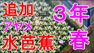 【ほの暮しの庭】アヤメの種・水芭蕉の苗など追加3年目の春の雑貨店の商品など攻略実況