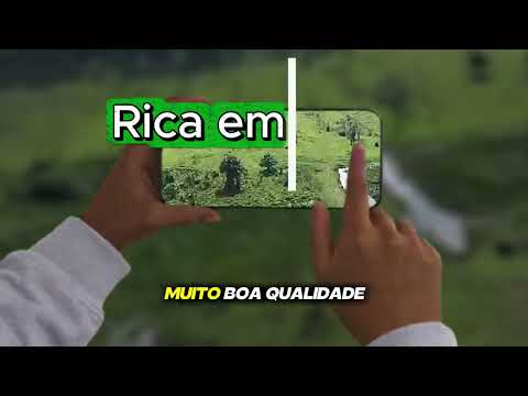 Sítio à Venda em Machadinho d’Oeste RO | 15 Alqueires com Casa, Curral, Água e Energia Solar
