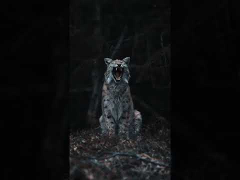 😲😲😲 Wow 😯😯😯😯😯😯😯