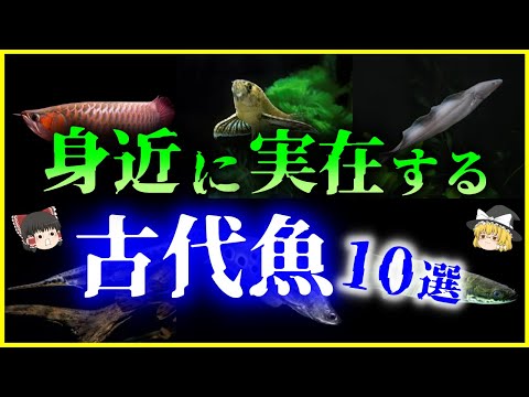 古代魚種類