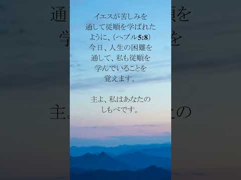 動画を再生
