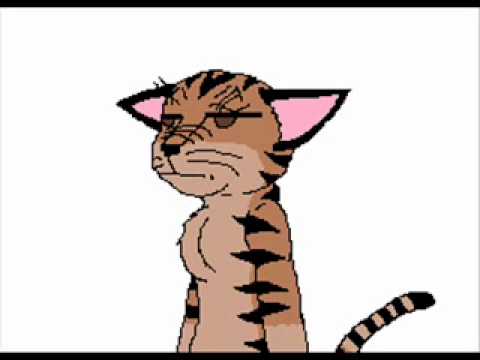 I've finally lost it