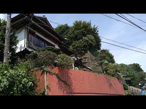 bonsai japan Rearl Works Gardener's by kuzuoka ltd  kochi　2022/8