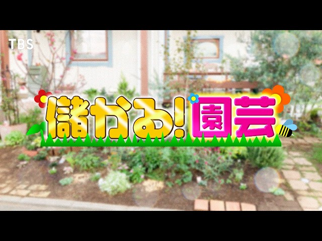 がっちりマンデー‼儲かる園芸!植物が超育つ植木鉢!なぜか害虫だけに効く魔法の殺虫剤