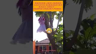 Download lagu VIDEO LUCU BANCI JOGET SAMPAI PANJAT POHON LUCUNYA KEBANGETAN  #SHORTS mp3 Download lagu VIDEO LUCU BANCI JOGET SAMPAI PANJAT POHON LUCUNYA KEBANGETAN  #SHORTS mp3