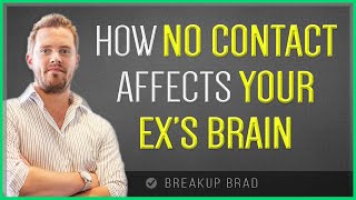 6 Ways No Contact Affects Your Ex’s Brain