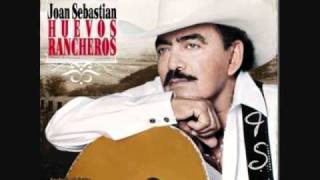 chinche de chagas joan sebastian