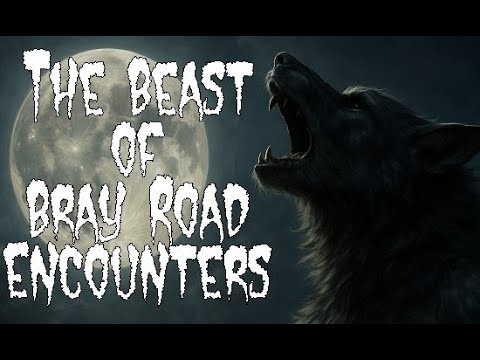 (E.91) The Beast of Bray Road- 2 Scary Dogman Stories from Wisconsin