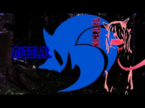 NIBOLAL - DrehImpuls