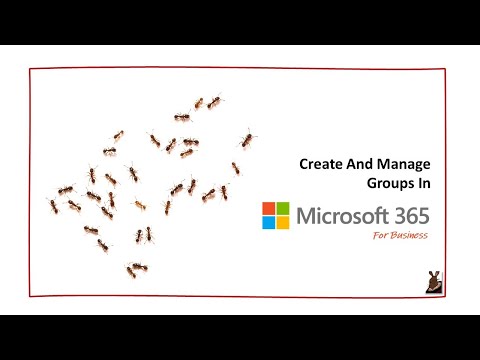 Create And Manage Groups in Microsoft 365 For Business