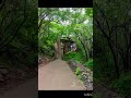 Jab Chali Thandi Hawa Ashabhosle Do Badan Song Music Nature Status Shorts