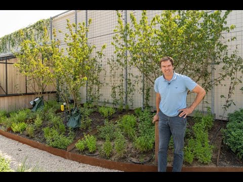 Hoe beïnvloed de bodem de beplanting door Nico Tillie Tu Delft