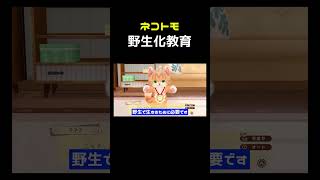 野生化ネコトモ #shorts
