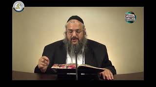 חוק לישראל - פרשת תולדות - יום חמישי | הרב שלמה לוינשטיין (ארגון קול הלשון) - התמונה מוצגת ישירות מתוך אתר האינטרנט יוטיוב. זכויות היוצרים בתמונה שייכות ליוצרה. קישור קרדיט למקור התוכן נמצא בתוך דף הסרטון