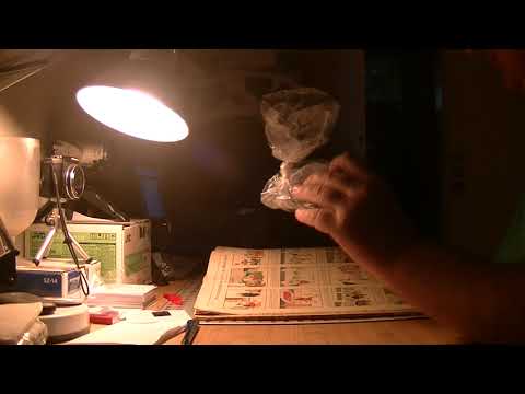 MongoTV_6774 - JOHN LÆSER - Hjemmet - 1926 - 29.Årgang - Del 12 - Nr. 1 - Den 6.Januar 1926