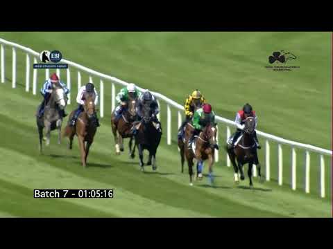 Irish EBF Barrier Trials 29 May 2023 - Batch 07