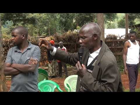 DAVID NAYANAMBA SAMANI