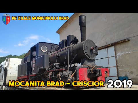 [2#/2019/SPECIAL] Mocănița Brad - Crișcior de zilele Municipiului Brad [17.08.2019]