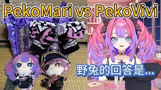 馬琳親自驗證！PekoMari和PekoVivi誰更受歡迎？結果竟然是…【hololive中文精華/綺々羅々ヴィヴィ/vivi】