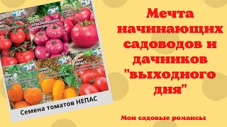 Томат Непас: описание сорта помидоров, характеристики. Посадка и выращивание, болезни и вредители. Отзывы и рекомендации