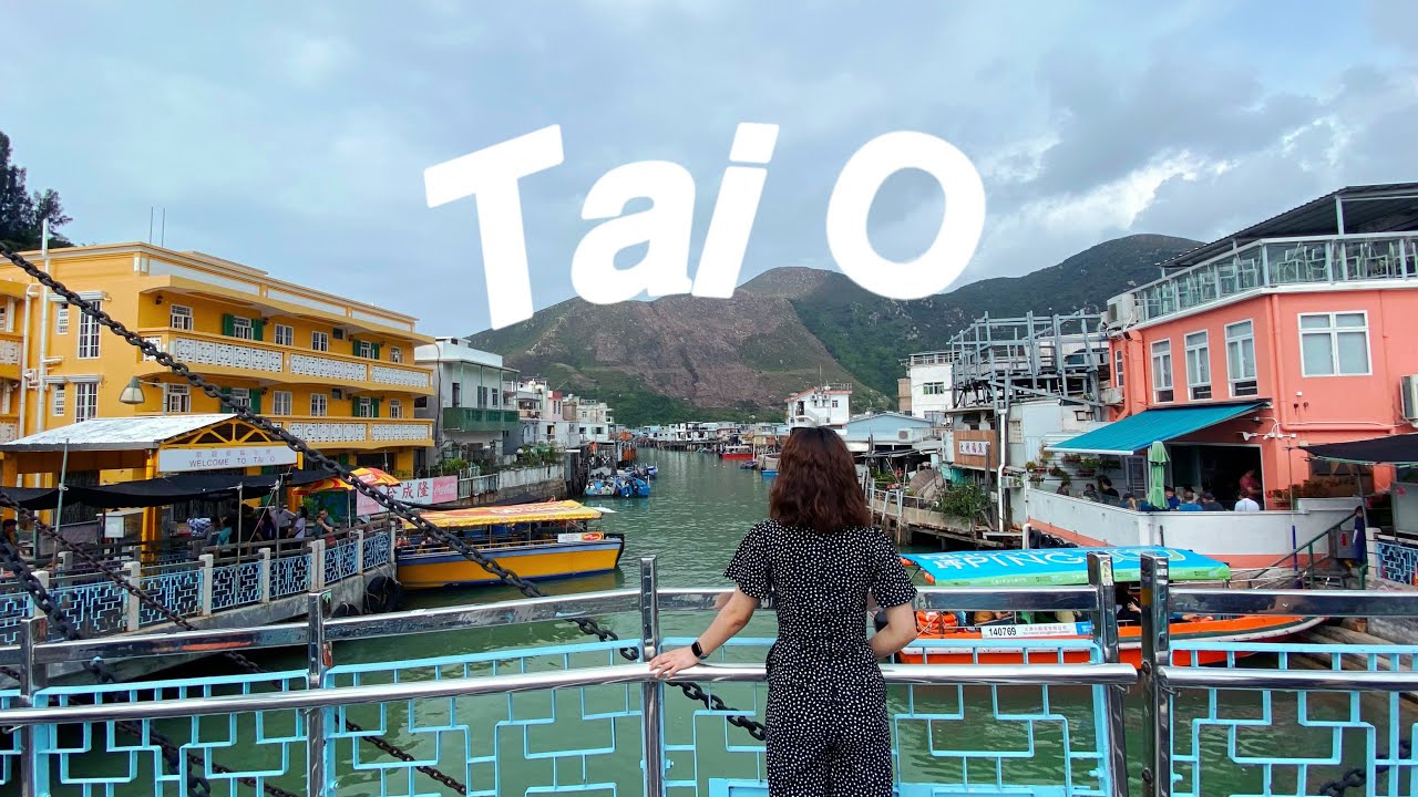 Take a boat ride to see pink dolphins and village life at Tai O