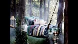 emily haines - reading in bed