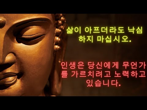 아름다운 삶의 교훈을 가르쳐줄 수 있는 인생에 관한 부처님의 명언 30개 | 불교