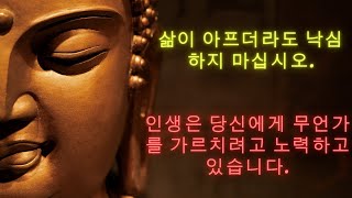 아름다운 삶의 교훈을 가르쳐줄 수 있는 인생에 관한 부처님의 명언 30개 | 불교