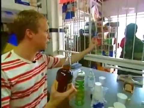 Rent a Pocher - Rum testen