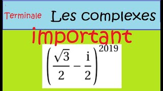 Vignette vidéo de l’exercice 24