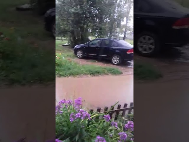 Летний дождь на улице Чехова