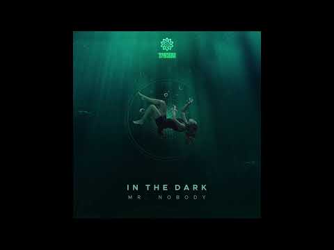 Mr. Nobody - In The Dark